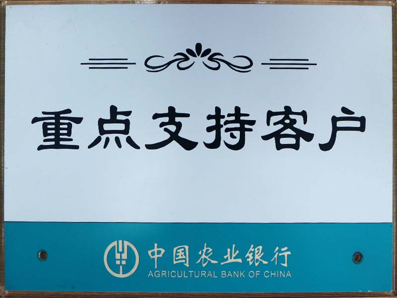 Key support customer of Agricultural Bank
